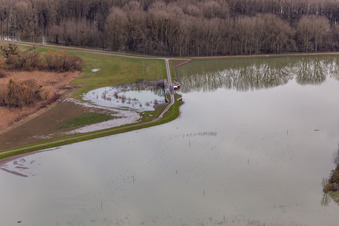 Überflutete Flutungswiesen des Polder Neupotz am Hochwasser- Pegel führenden Flußbett des Rhein in Neupotz in Wörth am Rhein im Bundesland Rheinland-Pfalz, Deutschland