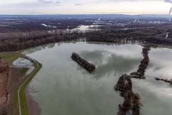Luftbild von Überflutete Flutungswiesen des Polder Neupotz am Hochwasser- Pegel führenden Flußbett des Rhein in Neupotz in Wörth am Rhein im Bundesland Rheinland-Pfalz, Deutschland
