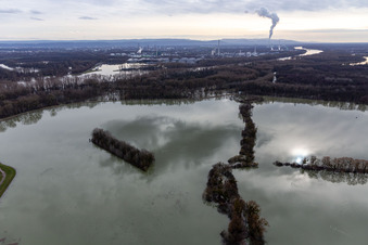 Luftaufnahme von Überfluteter Altrhein / Polder Neupotz in Wörth am Rhein im Bundesland Rheinland-Pfalz, Deutschland