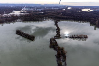 Schrägluftbild von Überfluteter Altrhein / Polder Neupotz in Wörth am Rhein im Bundesland Rheinland-Pfalz, Deutschland