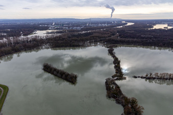 Luftaufnahme von Überflutete Flutungswiesen des Polder Neupotz am Hochwasser- Pegel führenden Flußbett des Rhein in Neupotz in Wörth am Rhein im Bundesland Rheinland-Pfalz, Deutschland