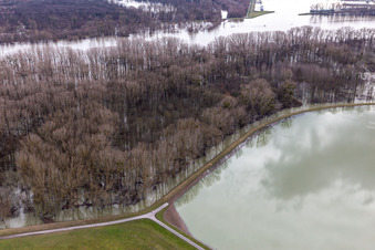 Überfluteter Altrhein Hörnel in Wörth am Rhein im Bundesland Rheinland-Pfalz, Deutschland