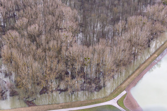 Luftbild von Überfluteter Altrhein Hörnel in Wörth am Rhein im Bundesland Rheinland-Pfalz, Deutschland