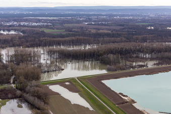 Überflutete Flutungswiesen des Polder Neupotz am Hochwasser- Pegel führenden Flußbett des Rhein in Neupotz im Bundesland Rheinland-Pfalz, Deutschland