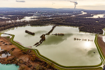 Luftbild von Überfluteter Altrhein / Polder Neupotz im Bundesland Rheinland-Pfalz, Deutschland