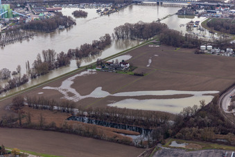 Luftbild von Hofgut Ludwigsau bei Rheinhochwasser im Ortsteil Maximiliansau in Wörth am Rhein im Bundesland Rheinland-Pfalz, Deutschland