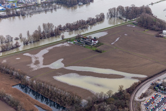 Gehöft und Bauernhof- Nebengebäude Hofgut Ludwigsau bei Rheinhochwasser in Wörth am Rhein im Ortsteil Maximiliansau im Bundesland Rheinland-Pfalz, Deutschland