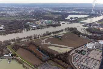Luftaufnahme von Hofgut Ludwigsau bei Rheinhochwasser im Ortsteil Maximiliansau in Wörth am Rhein im Bundesland Rheinland-Pfalz, Deutschland