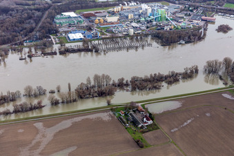 Luftbild von Gehöft und Bauernhof- Nebengebäude Hofgut Ludwigsau bei Rheinhochwasser in Wörth am Rhein im Ortsteil Maximiliansau im Bundesland Rheinland-Pfalz, Deutschland