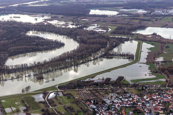 Hagenbacher Altrhein vor der Insel Nauas bei Hochwasser im Ortsteil Maximiliansau in Wörth am Rhein im Bundesland Rheinland-Pfalz, Deutschland