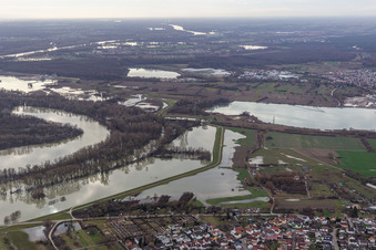 Luftbild von Hagenbacher Altrhein vor der Insel Nauas bei Hochwasser im Ortsteil Maximiliansau in Wörth am Rhein im Bundesland Rheinland-Pfalz, Deutschland