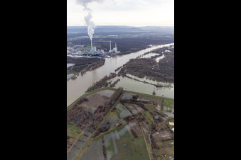 Auen und- Wiesen- Landschaft am Hagenbacher Altrhein vor der Insel Nauas mit Goldgrund bei Rhein-Hochwasser in Maximiliansau in Wörth am Rhein im Bundesland Rheinland-Pfalz, Deutschland