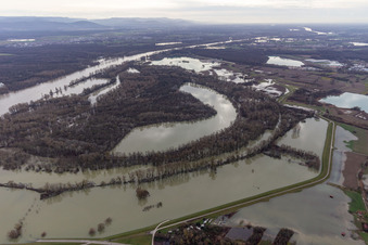 Hagenbacher Altrhein vor der Insel Nauas mit Goldgrund bei Rhein-Hochwasser im Ortsteil Maximiliansau in Wörth am Rhein im Bundesland Rheinland-Pfalz, Deutschland