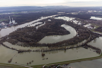 Luftbild von Hagenbacher Altrhein vor der Insel Nauas mit Goldgrund bei Rhein-Hochwasser im Ortsteil Maximiliansau in Wörth am Rhein im Bundesland Rheinland-Pfalz, Deutschland