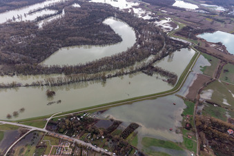 Luftbild von Auen und- Wiesen- Landschaft am Hagenbacher Altrhein vor der Insel Nauas mit Goldgrund bei Rhein-Hochwasser in Maximiliansau in Wörth am Rhein im Bundesland Rheinland-Pfalz, Deutschland