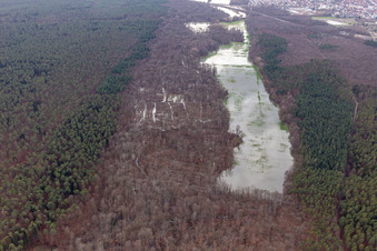 Luftbild von Otterbach mit überschwemmten Wiesen im Bienwald in Kandel im Bundesland Rheinland-Pfalz, Deutschland