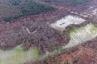 Otterbach und Bruchgraben mit überschwemmten Wiesen im Bienwald in Wörth am Rhein im Bundesland Rheinland-Pfalz, Deutschland