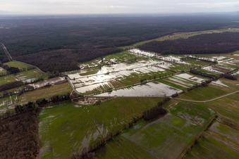 Land unter mit überschwemmten Wiesen zwischen Mühlbach, Dierbach und Otterbach in Minfeld im Bundesland Rheinland-Pfalz, Deutschland