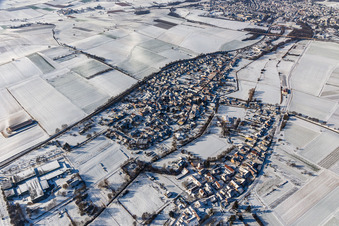 Winterlich schneebedeckte Dorf - Ansicht am Rande von landwirtschaftlichen Feldern und Nutzflächen in Niederhorbach im Ortsteil Drusweiler in Kapellen-Drusweiler im Bundesland Rheinland-Pfalz, Deutschland