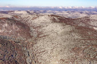 Winterluftbild im Schnee vom Dierbachtal mit Stäffelsbergturm in Dörrenbach im Bundesland Rheinland-Pfalz, Deutschland