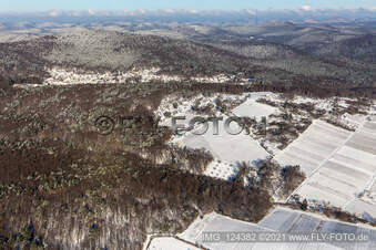 Winterluftbild im Schnee von Gartengrundstücken am Wald in Dörrenbach im Bundesland Rheinland-Pfalz, Deutschland