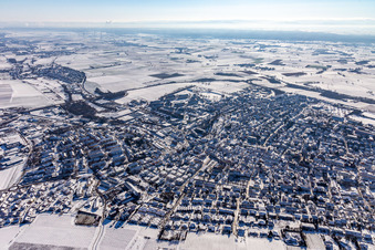 Luftaufnahme von Winterlich schneebedeckte Ortsansicht mit Straßen und Häusern der Wohngebiete in Bad Bergzabern im Bundesland Rheinland-Pfalz, Deutschland