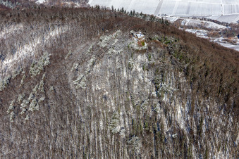 Winterluftbild im Schnee von Burg Neukastell in Leinsweiler im Bundesland Rheinland-Pfalz, Deutschland