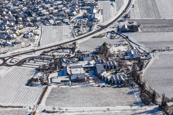 Winterluftbild im Schnee der BG RCI im Ortsteil Alsterweiler in Maikammer im Bundesland Rheinland-Pfalz, Deutschland