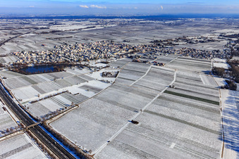 Winterluftbild im Schnee mit Schloßweiher in Kirrweiler im Bundesland Rheinland-Pfalz, Deutschland
