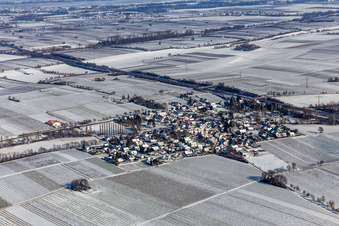 Luftbild von Winterlich schneebedeckte Dorf - Ansicht am Rande von landwirtschaftlichen Feldern und Nutzflächen in Knöringen im Bundesland Rheinland-Pfalz, Deutschland
