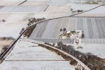 Winterluftbild im Schnee von Spargel- und Obsthof Gensheimer in Steinweiler im Bundesland Rheinland-Pfalz, Deutschland