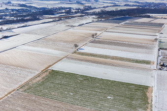 Luftbild von Mit Schnee bedeckte Felder im Winter in Billigheim-Ingenheim im Bundesland Rheinland-Pfalz, Deutschland
