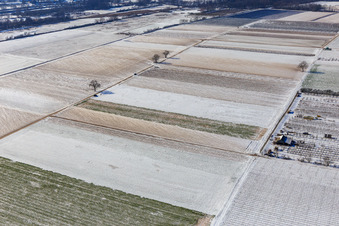 Luftaufnahme von Mit Schnee bedeckte Felder im Winter in Billigheim-Ingenheim im Bundesland Rheinland-Pfalz, Deutschland