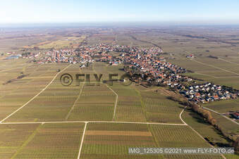 Luftbild von Edesheim im Bundesland Rheinland-Pfalz, Deutschland