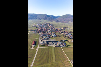 Luftbild von Rhodt unter Rietburg im Bundesland Rheinland-Pfalz, Deutschland