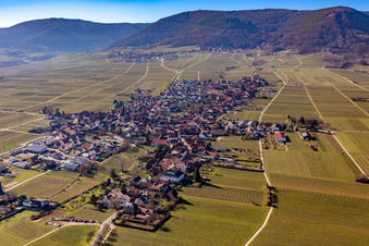 Schrägluftbild von Rhodt unter Rietburg im Bundesland Rheinland-Pfalz, Deutschland