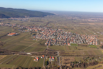 Ortsteil Mußbach in Neustadt an der Weinstraße im Bundesland Rheinland-Pfalz, Deutschland von oben