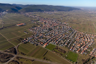 Ortsteil Mußbach in Neustadt an der Weinstraße im Bundesland Rheinland-Pfalz, Deutschland aus der Luft