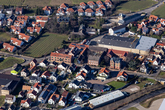 Schmieders, Samus Gallus in Deidesheim im Bundesland Rheinland-Pfalz, Deutschland
