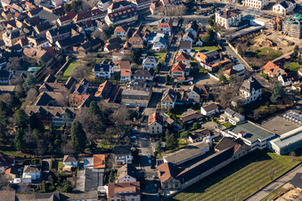 Ferienhaus Holler Mitten im Paradies in Deidesheim im Bundesland Rheinland-Pfalz, Deutschland