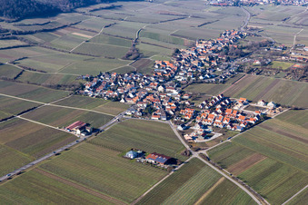 Luftbild von Dorf - Ansicht am Rande von Weinbergen in Forst an der Weinstraße im Bundesland Rheinland-Pfalz, Deutschland