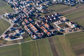 Rieslingweg, Traminerweg, Silvanerweg in Forst an der Weinstraße im Bundesland Rheinland-Pfalz, Deutschland