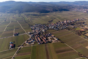 Forst an der Weinstraße im Bundesland Rheinland-Pfalz, Deutschland
