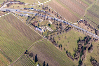 Grundmauern der römischen Villa Rustica Wachenheim in Wachenheim an der Weinstraße im Bundesland Rheinland-Pfalz, Deutschland
