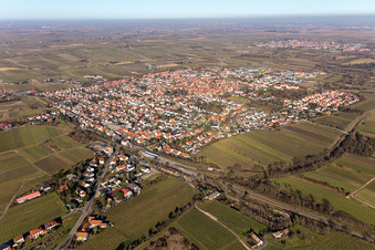 Ortsansicht der Straßen und Häuser der Wohngebiete inmitten von Weinbergen in Freinsheim im Bundesland Rheinland-Pfalz, Deutschland