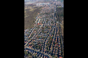Birkenheide im Bundesland Rheinland-Pfalz, Deutschland