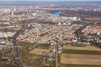 Luftbild von Ortsansicht der Straßen und Häuser der Wohngebiete im Ortsteil Rheingönheim in Ludwigshafen am Rhein im Bundesland Rheinland-Pfalz, Deutschland
