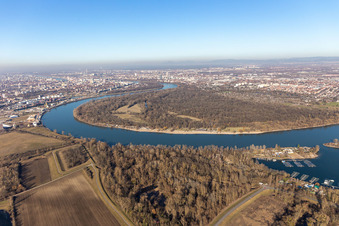 Naturschutzgebiet Reißinsel im Ortsteil Niederfeld in Mannheim im Bundesland Baden-Württemberg, Deutschland