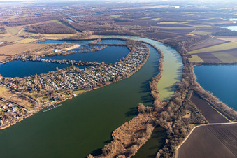 Uferbereiche am Seegebiet der Blauen Adria und des Neuhofener Altrheins mit Naherholungsgebiet in Altrip im Bundesland Rheinland-Pfalz, Deutschland