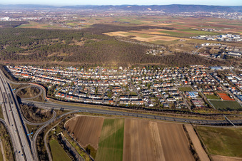 Hirschacker in Schwetzingen im Bundesland Baden-Württemberg, Deutschland
